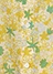 yellow(06)