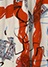 orange(20)