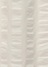 white(01)