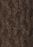 dark brown(05)