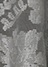gray(24)