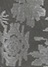 gray(24)