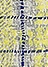yellow(06)