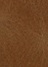 brown(04)