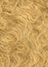 brown(04)