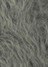 gray(24)
