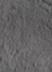 gray(24)