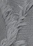 gray(24)