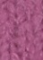 purple(15)
