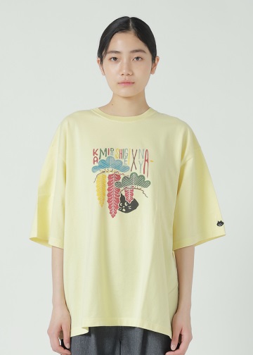 NYA- / FUJI / MATSU T / TVc