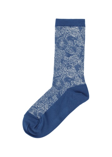 Plantation / PO hbgt[\bNX / \bNX