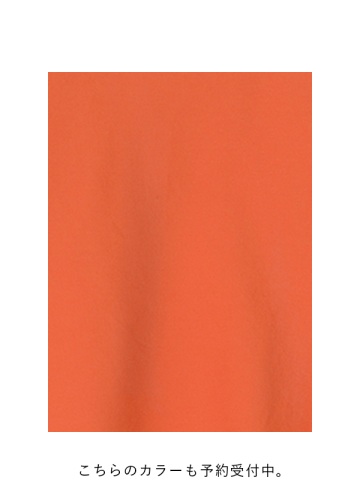 <��s�\��> Plantation / COLOR YOORYUU FRUITS / �����s�[�X