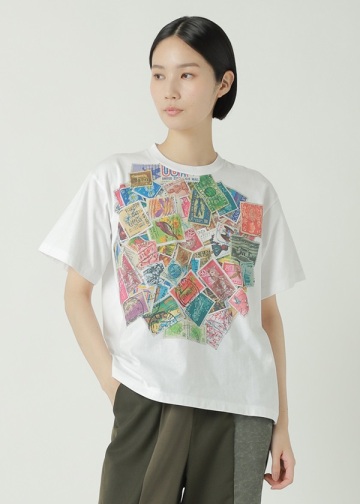 ZUCCa / P X^vT / TVc