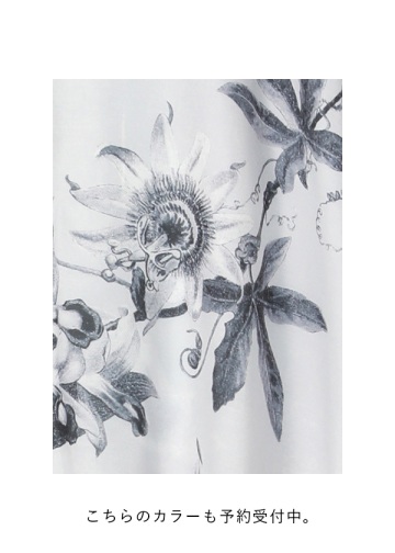 <s\> ZUCCa / WILD FLOWER / R[g