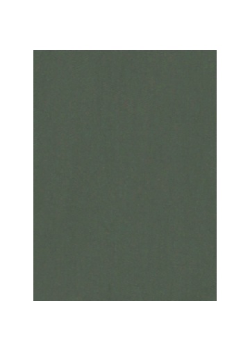 ZUCCa / SPUN PE STRETCH TWILL / �p���c