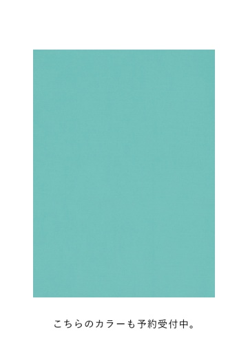 <��s�\��> ZUCCa / PICOTUCK LAWN / �����s�[�X