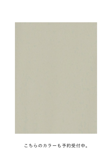 <��s�\��> ZUCCa / FIBRIL TYPEWRITER JERSEY 2 / �p���c