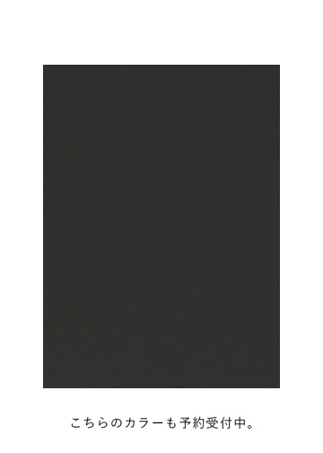 <��s�\��> ZUCCa / WASHER PLEATS / �X�J�[�g