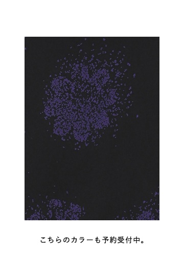 <��s�\��> ZUCCa / JACQUARD SWEATSHIRT / �X�J�[�g