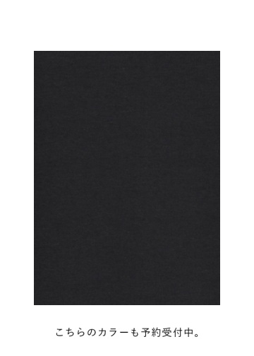 <��s�\��> ZUCCa / CLEAR PONTE / �X�J�[�g