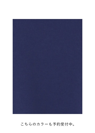 <��s�\��> ZUCCa / HIGH GAUGE INLAY / �u���]��