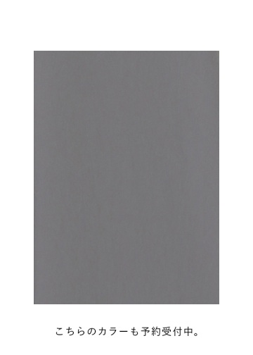 <��s�\��> ZUCCa / DOT AIR / �X�J�[�g