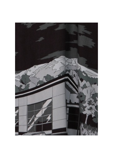 <��s�\��> ZUCCa / ROADSIDE PRINT / �X�J�[�g