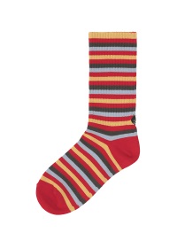 NYA- / STRIPED SOCKS / \bNX