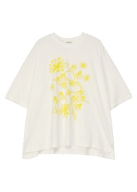 <��s�\��> Plantation / ���C���t�����[T / �J�b�g�\�[