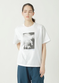 <��s�\��> ZUCCa / DISCO PHOTO T / T�V���c