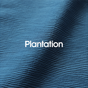 Plantation プランテーション(5ページ)| A-net ONLINE STORE